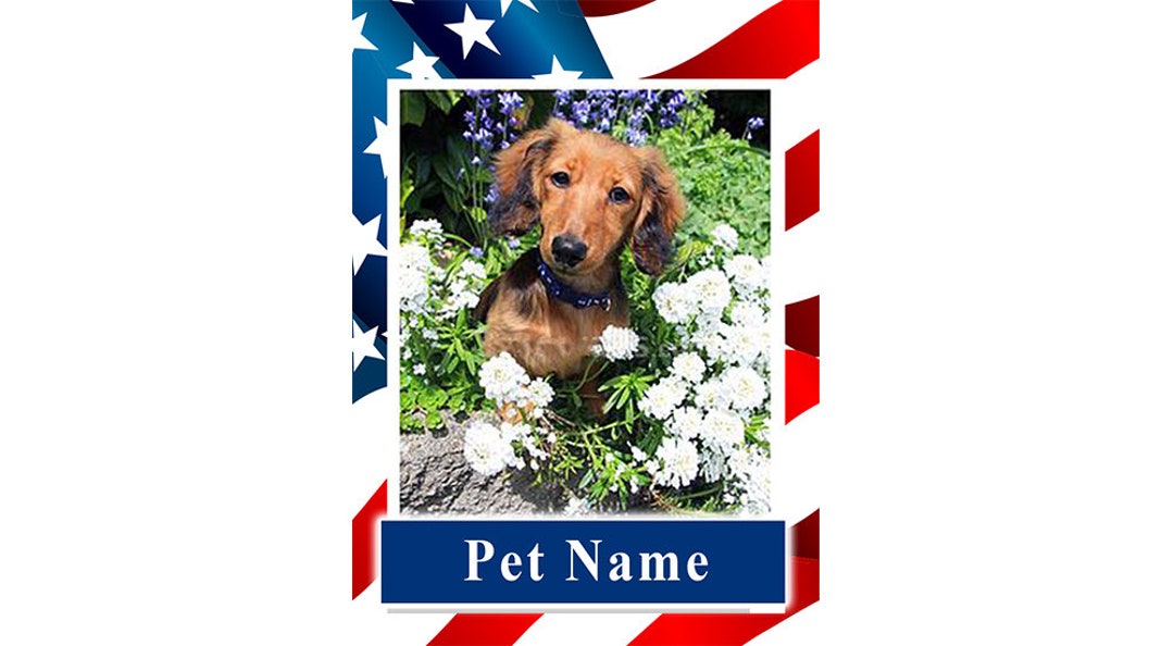 Custom Pet Trading Cards/ Therapy Pet Cards / Therapy Dog Cards/ Pet