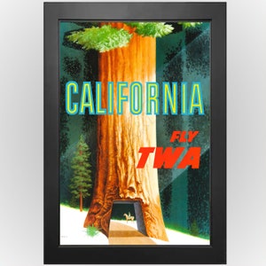 Cartel publicitario vintage de la TWA de las secuoyas de California, años 50