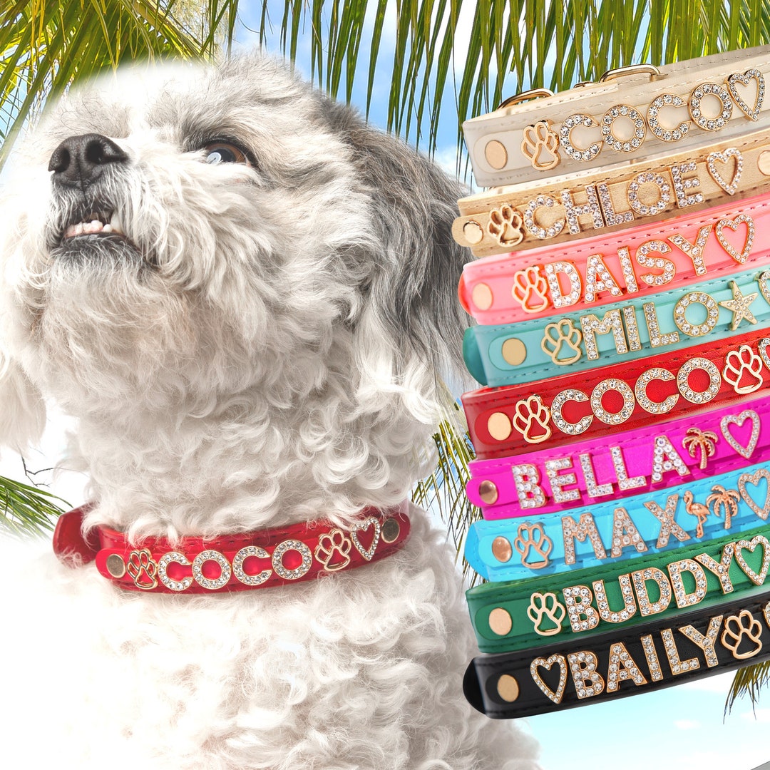 Bling Dog Collars for Small Dogs, Custom Name Collar for Dogs, Female