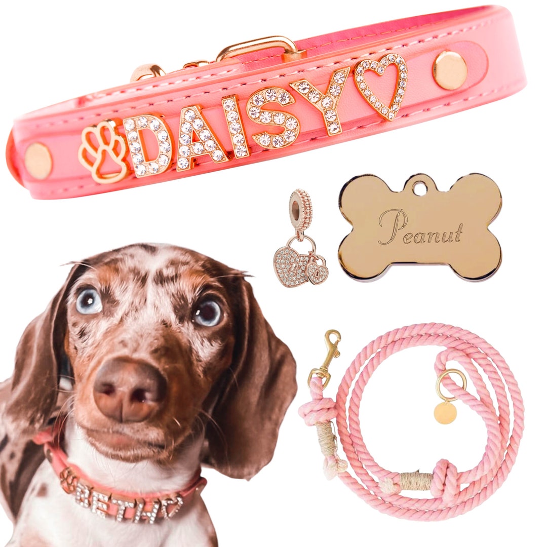 BUNDLE Custom Dog Collars With Name Collar Leash Engraved Etsy