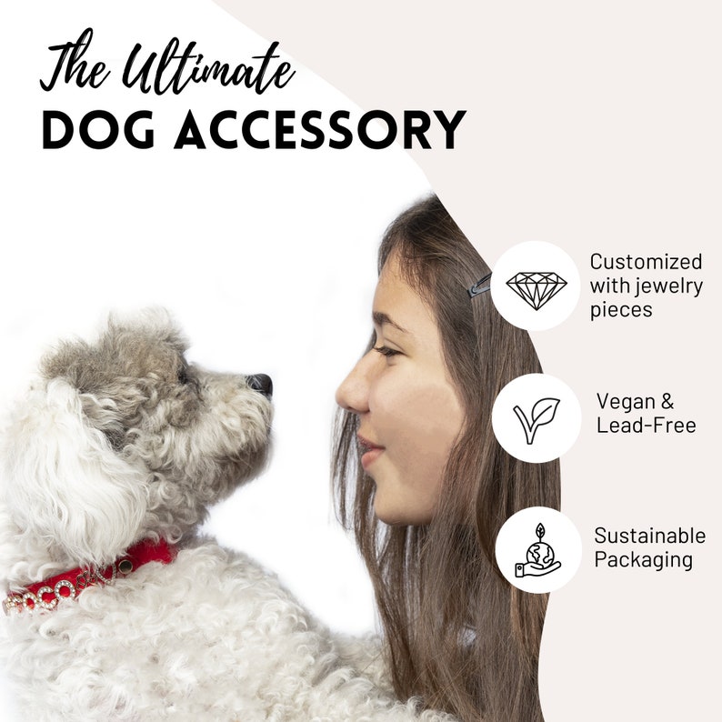 Custom Dog Collars With Name Top Vegan Soft Leather 5 Size Etsy