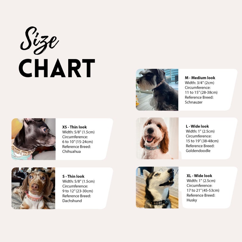 Custom Dog Collars With Name Top Vegan Soft Leather 5 Size Etsy