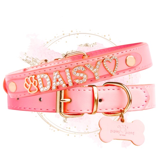 Women's Luxury Designer Pet Accessories