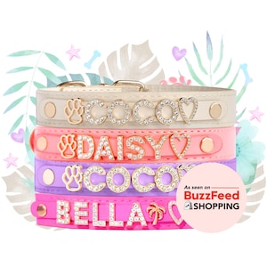 Fancy Dog Collar, Leather Dog Collar, Custom Dog Collar, Personalized Name Strap, Crystal Bling Accent, Adjustable Size Gift for Pets