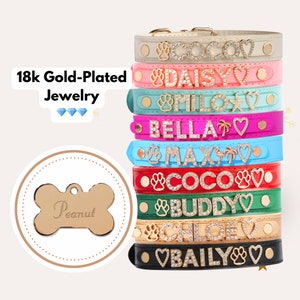Custom Dog Collars with Name | Top Vegan Soft Leather | 5 Size to Fit All Breeds | Variety of Colors | Option to Add Cute Charms