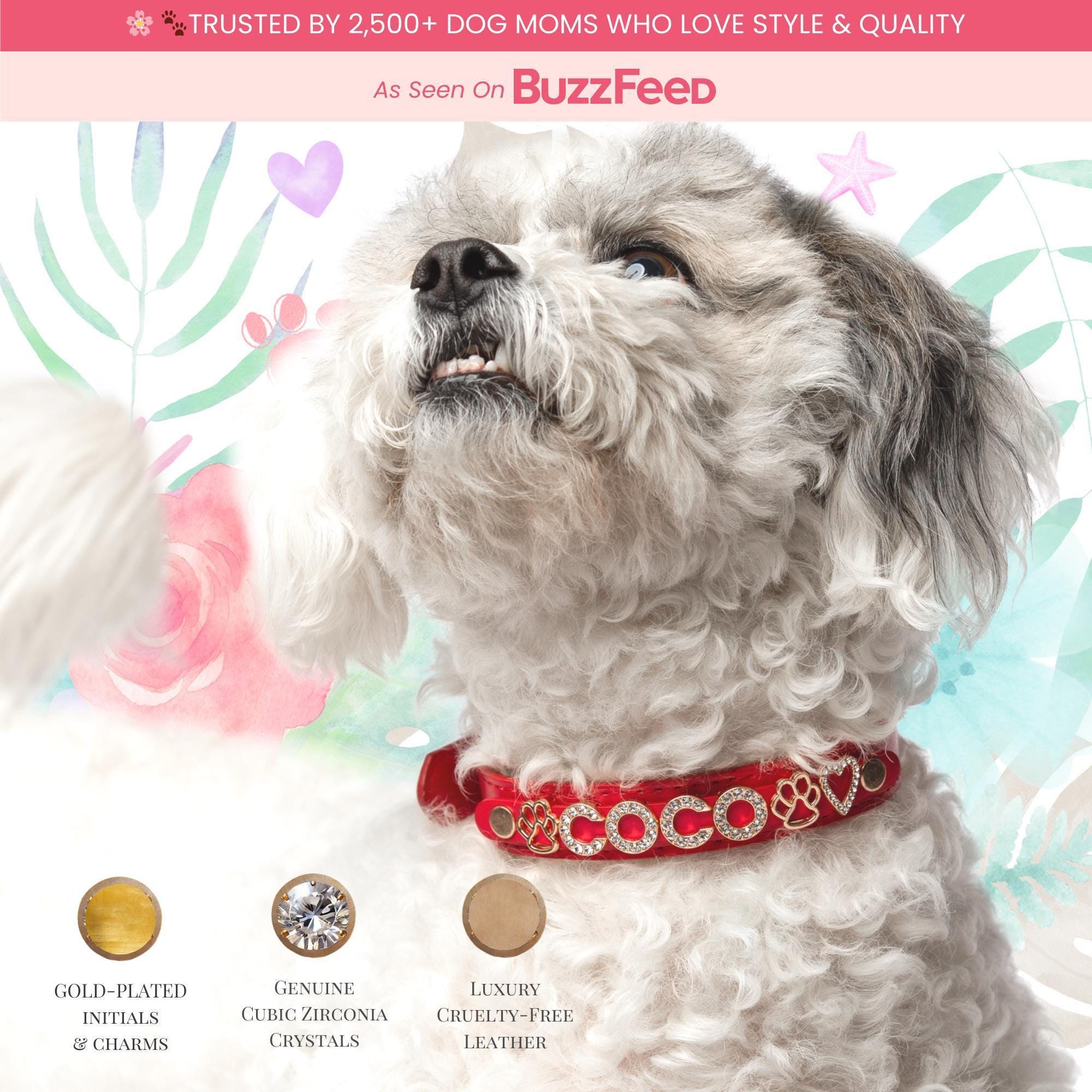 Collare Per Cani Bling / Collare Fenicottero Rosa / Collare Per - Foto 4