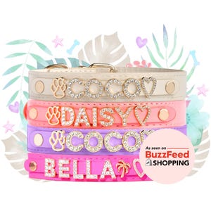 Benutzerdefinierte Hundehalsband, Vegan Leder, personalisierte Geschenk, verstellbarer Luxus Haustier Gurt, Namensschild Charme, stilvolles Bling für Hunde aller Größen