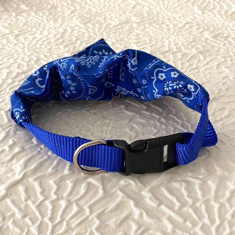 New York Dr Fauci Team Fauci Dog Bandana Dog Accessory Anthony Fauci Cuomo