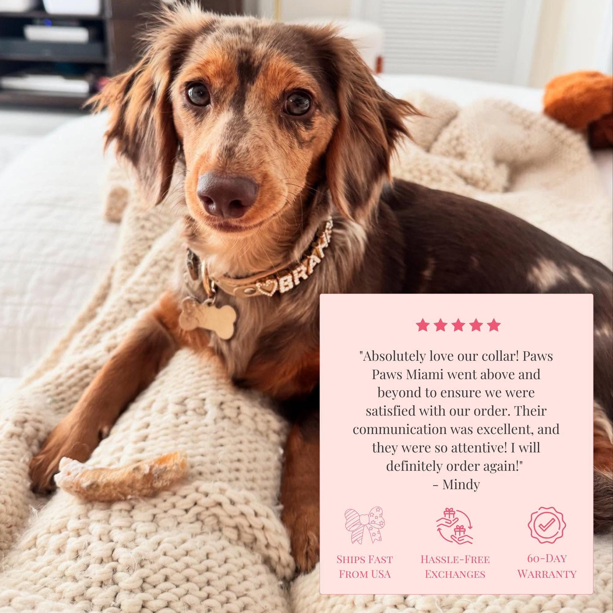 Collare Per Cani Bling / Collare Fenicottero Rosa / Collare Per - Foto 11