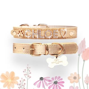 Custom Dog Collars with Name | Holiday Dog Collar | Personalized Dog Gift