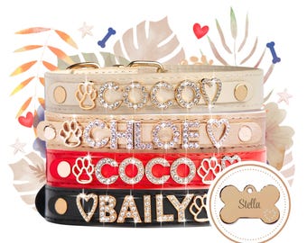 Collar With Name, Personalized Dog, Leather Dog Collar, Soft Vegan Strap, Multiple Sizes for Every Breed, Charming Customization Available