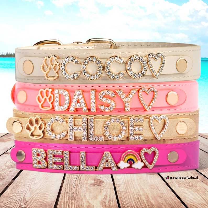 Custom Dog Collars With Name Top Vegan Leather 5 Size to Etsy