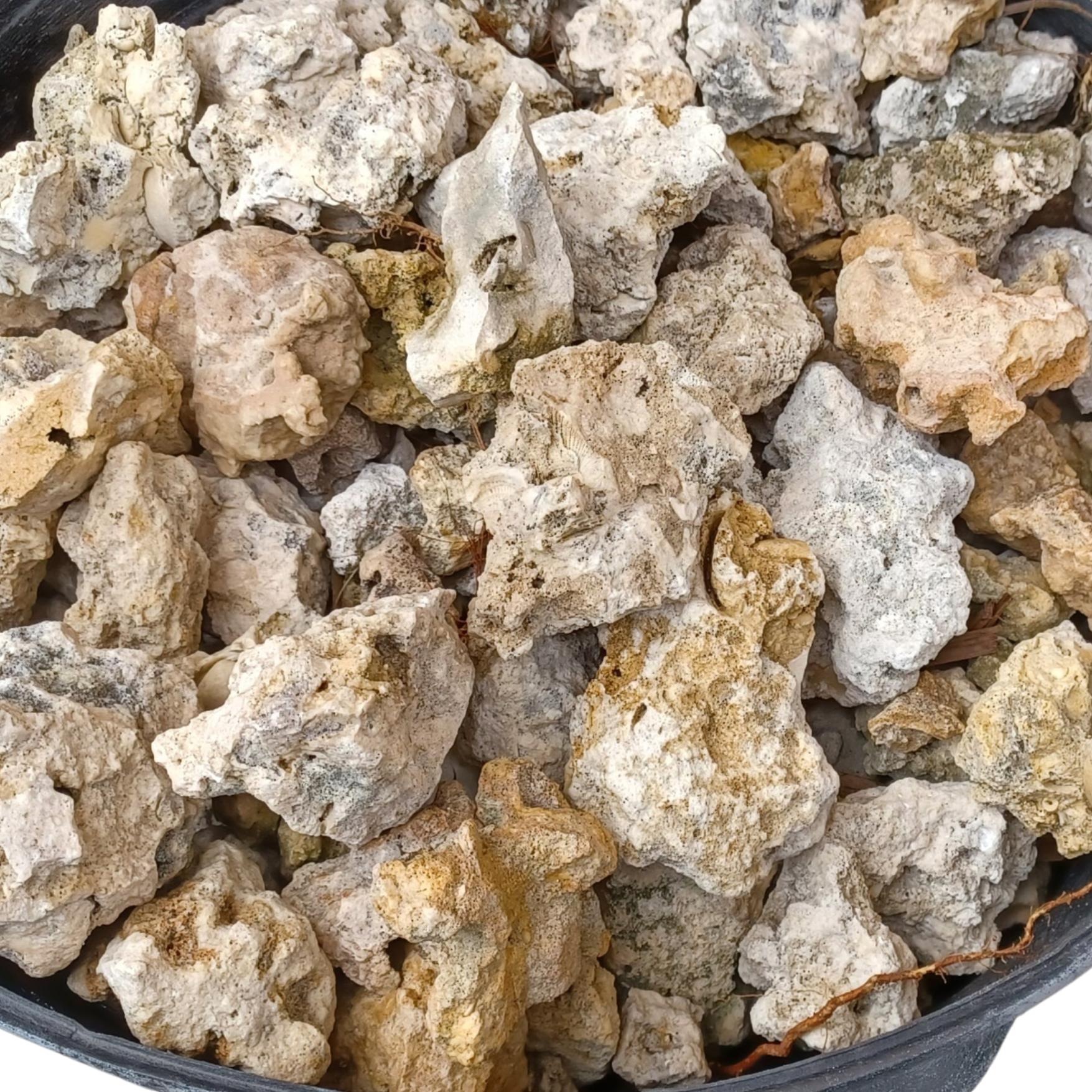 LIMESTONE ROCKS Full Large or Medium Flat Rate Box for Isopods ...