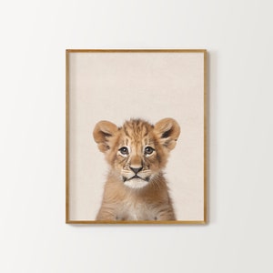 May include: A close-up portrait of a light brown lion cub with big, dark eyes. The cub is looking directly at the camera with a curious expression. The background is a light beige.