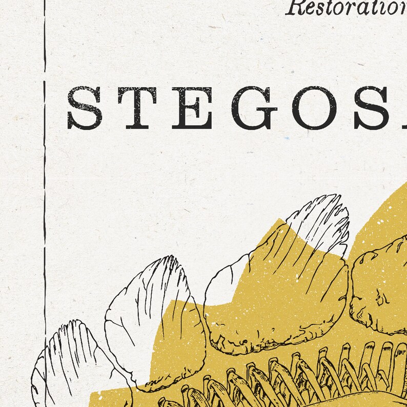 May include: A black and white illustration of a Stegosaurus skeleton with the word "Restoration" above it. The skeleton is partially obscured by a yellow and gold background.