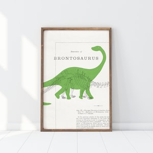 dinosaur print collection of four, dinosaur decor, t-rex wall art, digital download, kid's room decor image 4