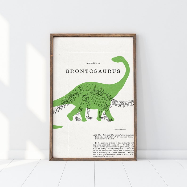 dinosaur print collection of four, dinosaur decor, t-rex wall art, digital download, kid's room decor image 4