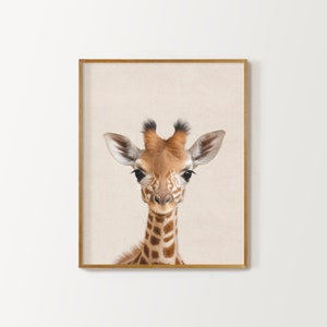 May include: A close-up portrait of a baby giraffe with a light brown and tan patterned coat. The giraffe is looking directly at the camera with its large, dark eyes.