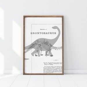 May include: A framed print featuring a detailed illustration of a Brontosaurus, with a skeletal outline and a shaded silhouette. The text "Restoration of Brontosaurus" is displayed prominently. The print has a vintage aesthetic.