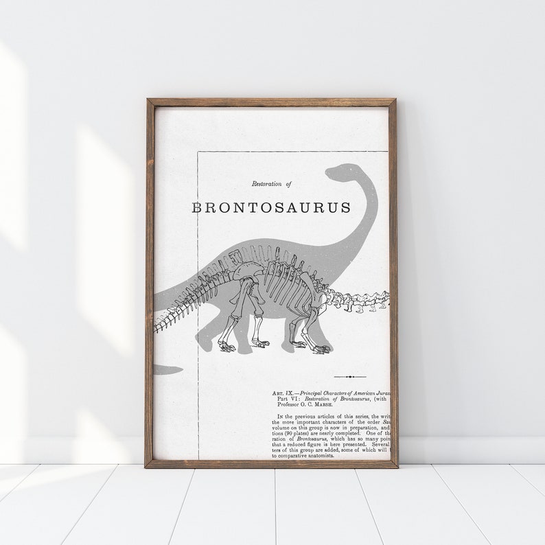 May include: A framed print featuring a detailed illustration of a Brontosaurus, with a skeletal outline and a shaded silhouette. The text "Restoration of Brontosaurus" is displayed prominently. The print has a vintage aesthetic.