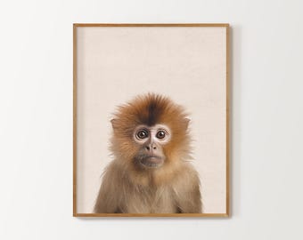 Safari Nursery Prints, Baby Room Decor, Monkey Nursery Prints, Gender Neutral Nursery Prints, Newborn Gift, Cute Baby Monkey Wall Art