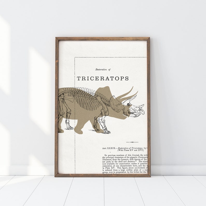 dinosaur print collection of four, dinosaur decor, t-rex wall art, digital download, kid's room decor image 5