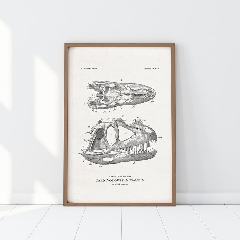 Dinosaur Skull Print Carnivore Bones Home Decor Printable | Etsy Australia