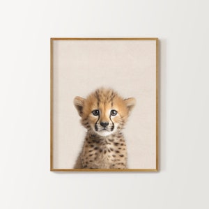 Peut inclure: Portrait rapproch&eacute; d'un petit gu&eacute;pard avec des taches brunes et noires. Le petit a un visage brun clair avec des marques noires autour des yeux et du nez. Le petit regarde directement la cam&eacute;ra avec une expression curieuse.