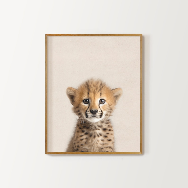 Peut inclure: Portrait rapproch&eacute; d'un petit gu&eacute;pard avec des taches brunes et noires. Le petit a un visage brun clair avec des marques noires autour des yeux et du nez. Le petit regarde directement la cam&eacute;ra avec une expression curieuse.