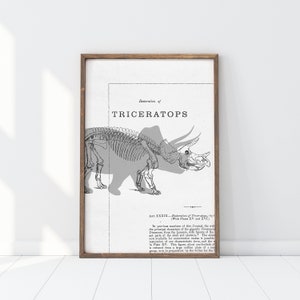 May include: A framed print featuring a detailed illustration of a Triceratops skeleton, with the title "Restoration of Triceratops" in bold letters. The artwork is in black and white, set against a vintage paper background, and encased in a brown wooden frame.