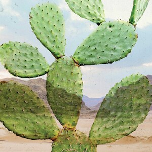 Desert Cactus Print, Home Decor, Printable Digital Download, Wall Art ...