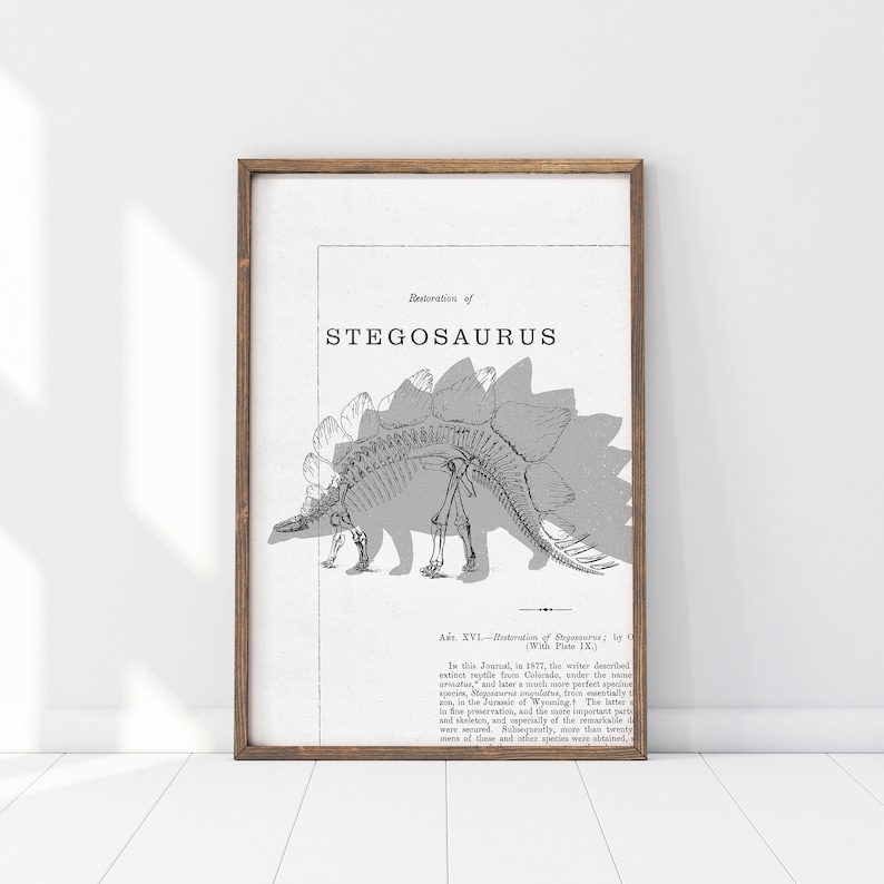 May include: A framed print featuring a black and white illustration of a Stegosaurus skeleton. The artwork includes the text "Restoration of STEGOSAURUS" and scientific notes. The frame is a warm brown color, adding a classic touch to the paleontological theme.