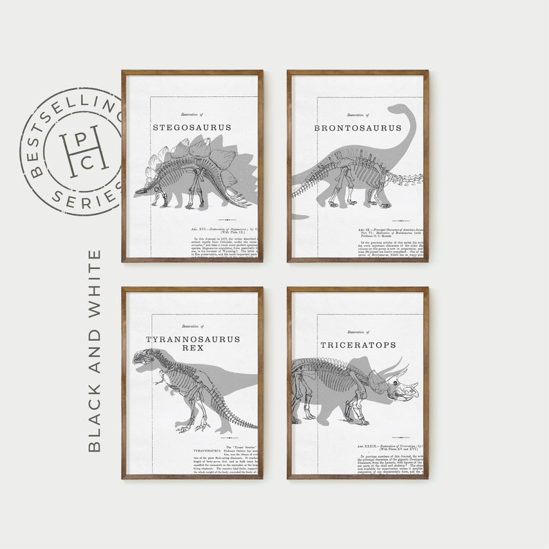 May include: Four framed black and white dinosaur skeleton prints. Each print features a different dinosaur: Stegosaurus, Brontosaurus, Tyrannosaurus Rex, and Triceratops. The prints have a vintage, scientific illustration style.