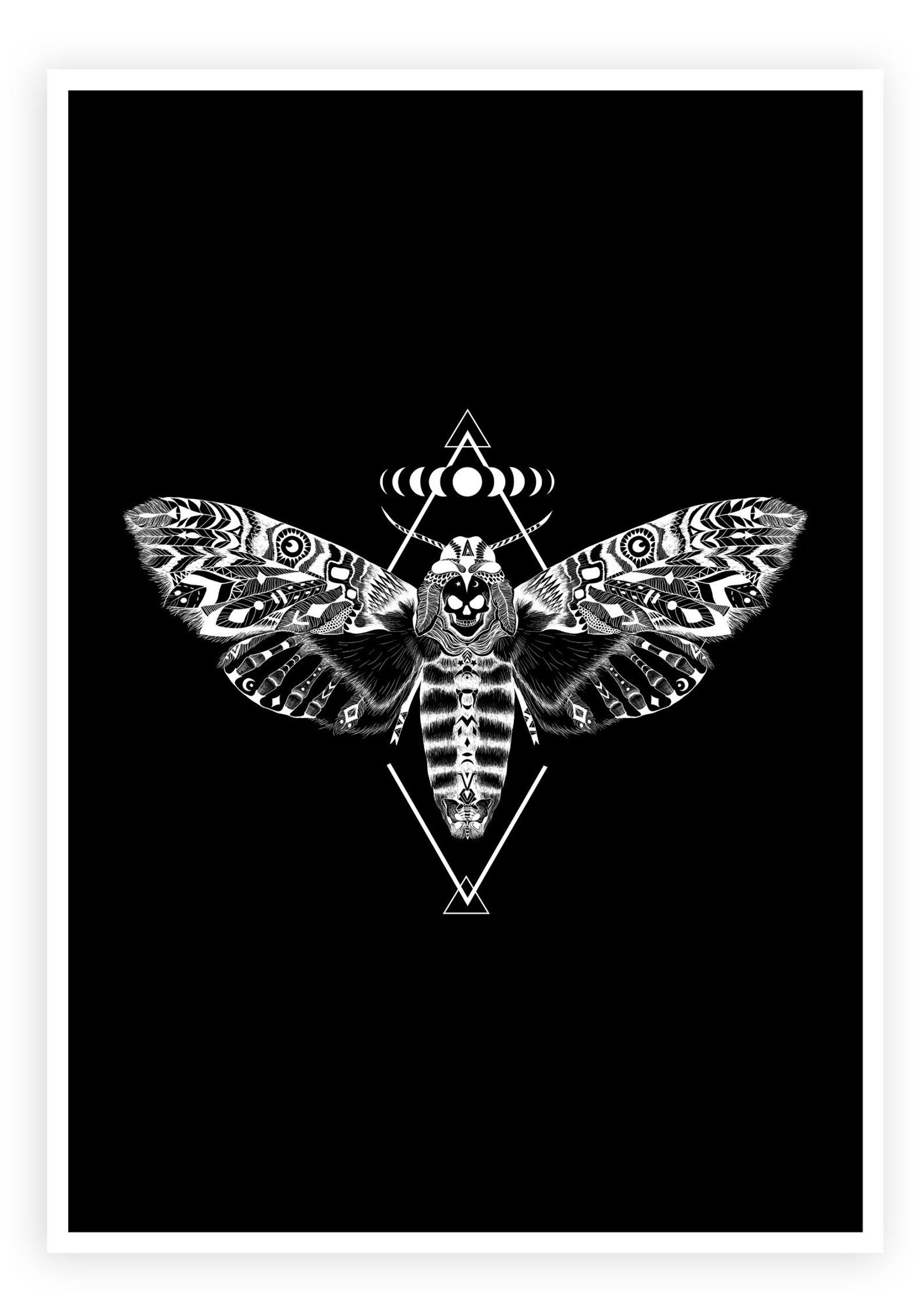 Totenkopffalter Bild Totenkopfschwärmer Goth Wandkunst Etsy