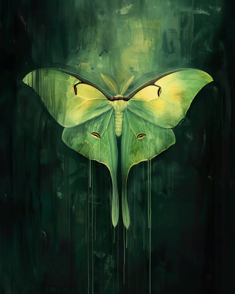 Luna Moth PRINTABLE Wall Art Aesthetic Room Decor Witchy Fairycore Boho ...