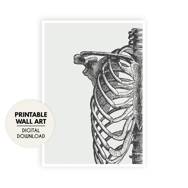 Anatomical Ribcage, PRINTABLE Gothic Wall Art, Gothic Home Decor, Pastel Goth, Art Prints, Digital Download, Goth Decor, Rockabilly