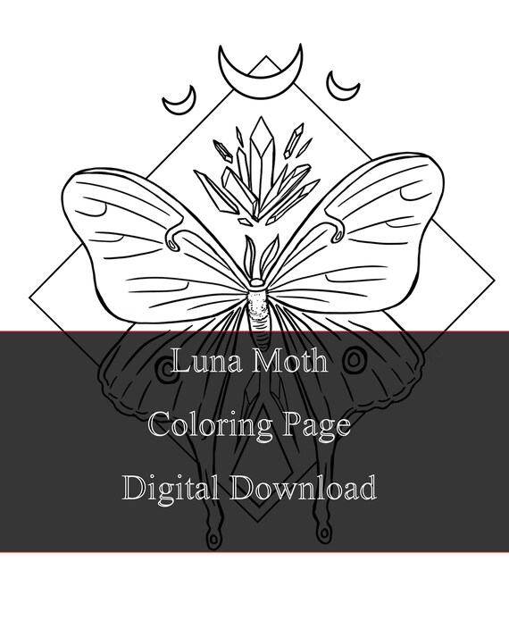 Luna Moth Adult Coloring Page Print At Home Digital Download Etsy