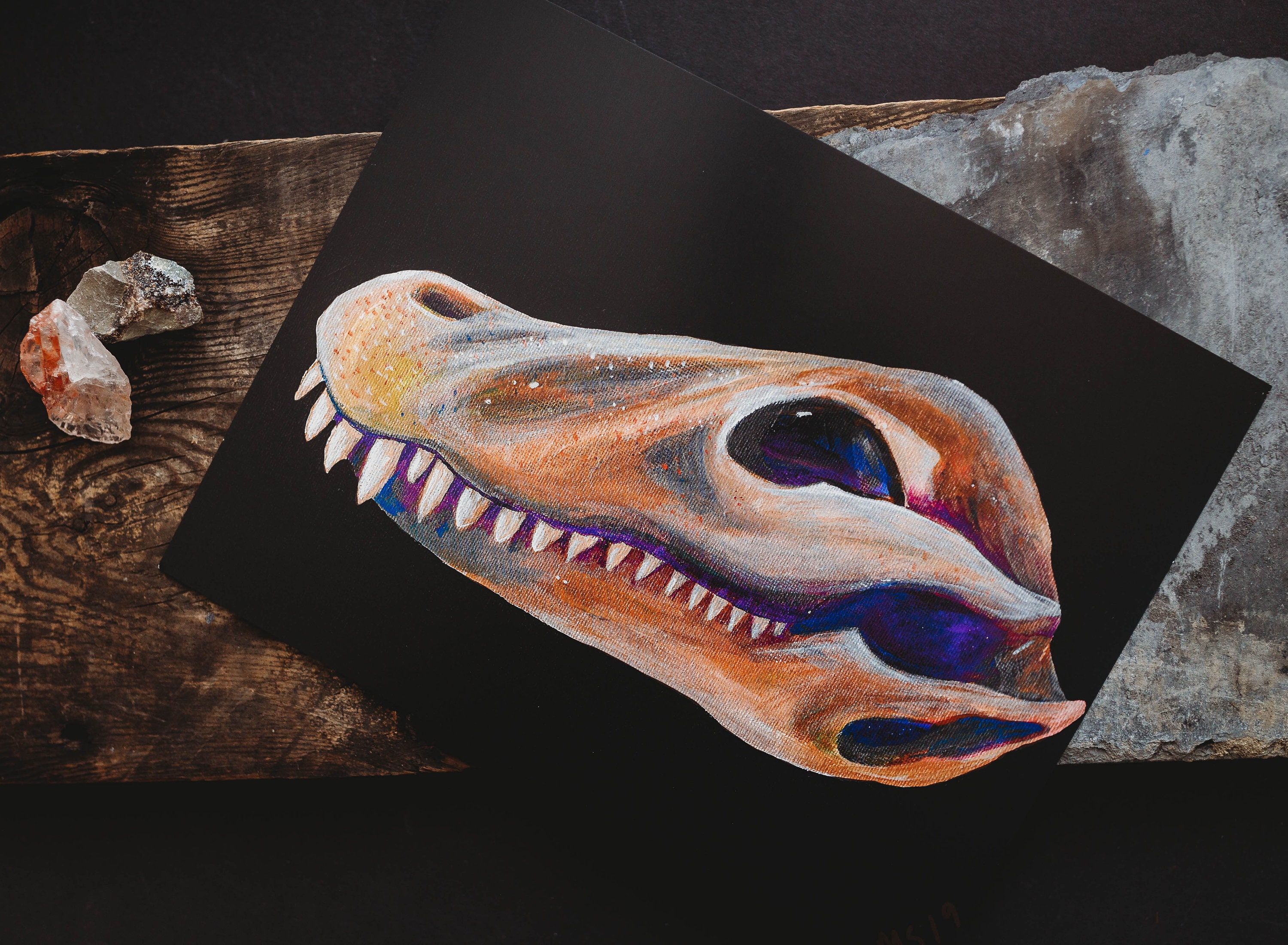 Alligator Skull Art Print Animal Bones Series 8x11 Art Print | Etsy