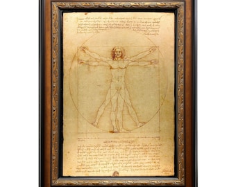 El Hombre de Vitruvio de Leonardo da Vinci EXHIBIDO EN 30X42 Estudio anatómico renacentista Figura clásica Arte de pared