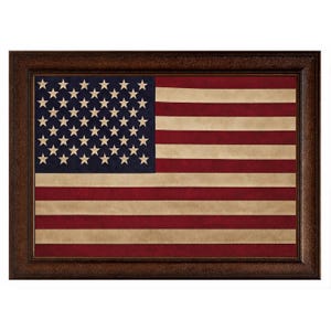 Large Antique Cloth American Flag Framed Wall Art, Embroidered Patriotic Americana Decor, Custom Sizes & Frames