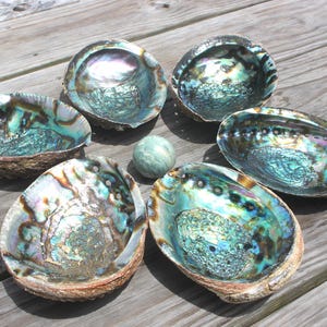 Polished Abalone Shell: Deluxe Smudging Bowl, Boho Home Decor