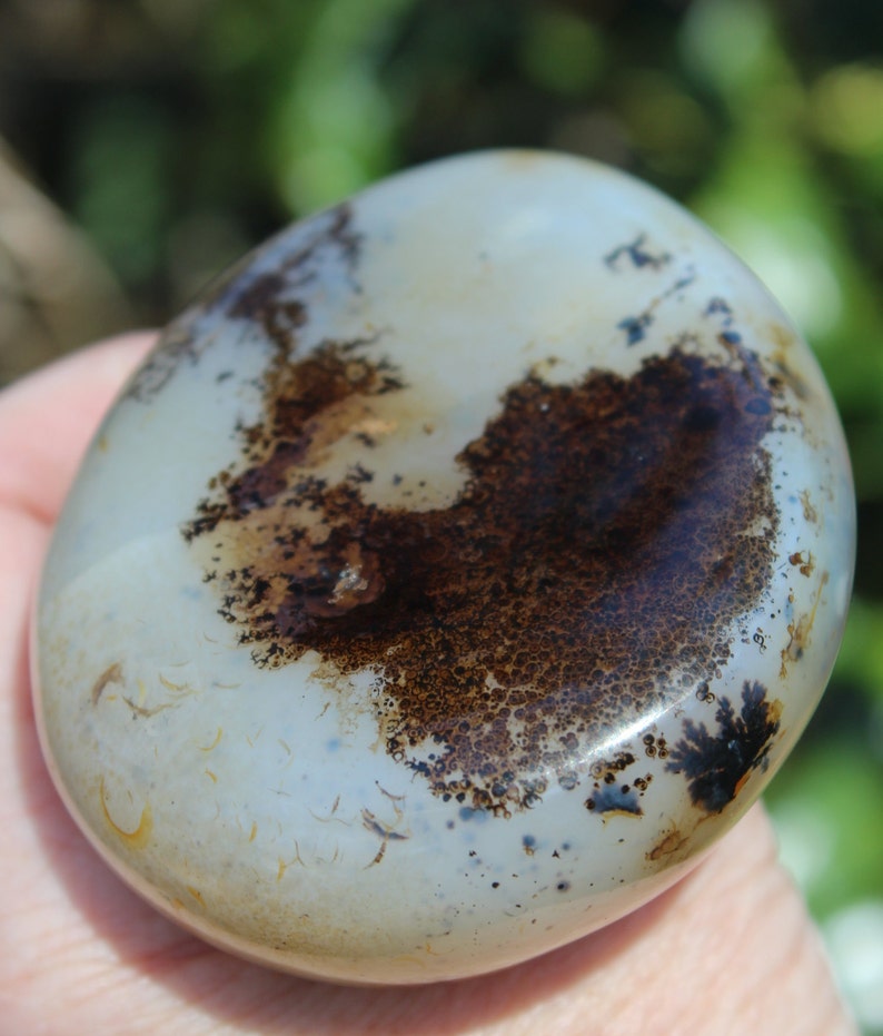 Large Ocean Agate Palm Stone Madagascar Agate Dendritic Etsy