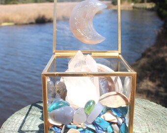 Crystal and She’ll Terrarium Treasure  Box: Agate Moon, Quartz, Abalone Shells - Beachy Decor