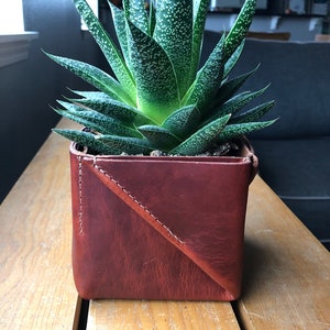 May include: A green and white succulent plant in a square, reddish-brown leather planter. The planter has a stitched diagonal design and sits on a wooden surface. The plant has pointed leaves with white spots.
