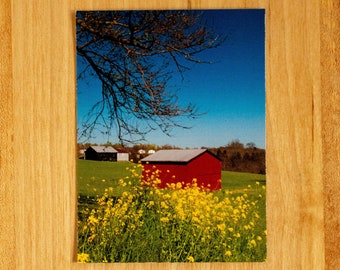 Red Barn Magnet // Kentucky / Landscape / Farm / Spring / Wildflowers / Wall Art / Home Decor / Photography