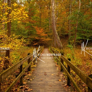 Brown County State Park / Boardwalk / Hiking / Indiana / Nashville / Nashville, Indiana / Trail / Brown County / Autumn / Home Decor / Fall