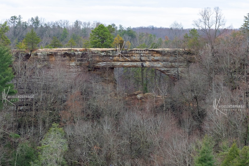 May include: A natural stone archway in a forest setting. The archway is made of brown rock and is surrounded by trees with bare branches. The sky is overcast and the archway is the focal point of the image.