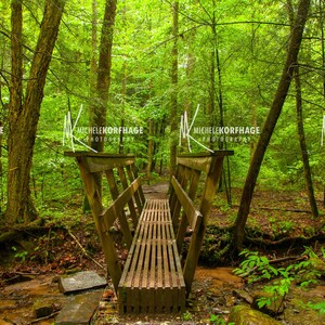 Bridge / Red River Gorge / Martins Fork / Kentucky / Trail head / Hiking / RRG / Home Decor / Nature / Photograph / The Gorge / Nature Lover