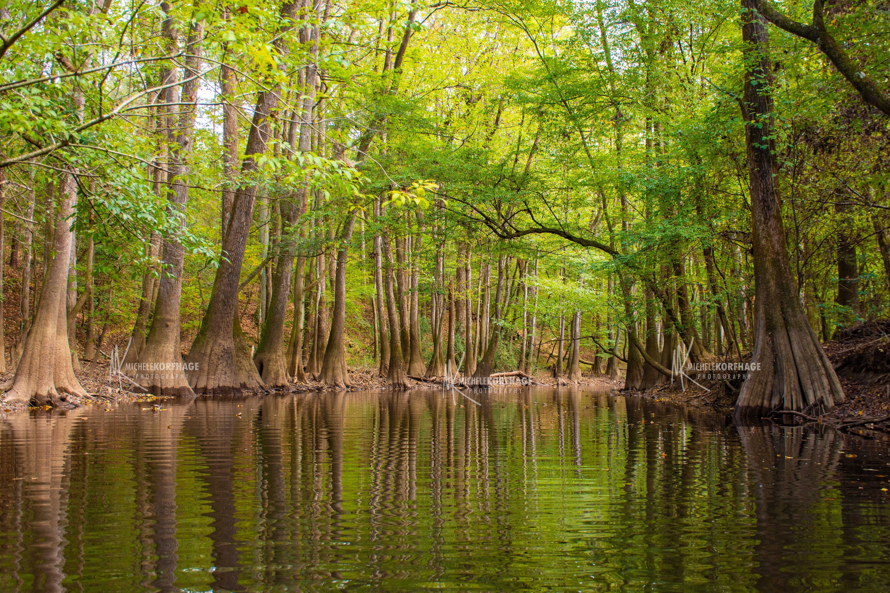 Congaree National Park: Cedar Creek