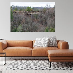 May include: A brown leather sectional sofa with a matching ottoman in a living room setting. The sofa has two white and gray patterned throw pillows. A black metal side table is in the foreground. A framed photograph of a natural rock formation in a wooded area hangs on the wall behind the sofa.